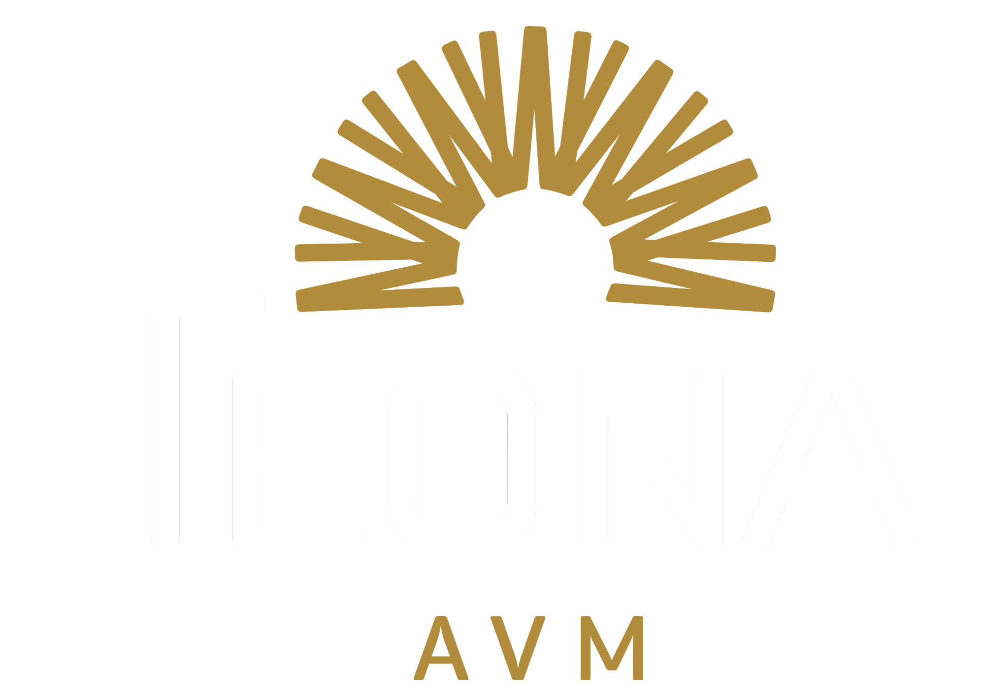 Teona AVM