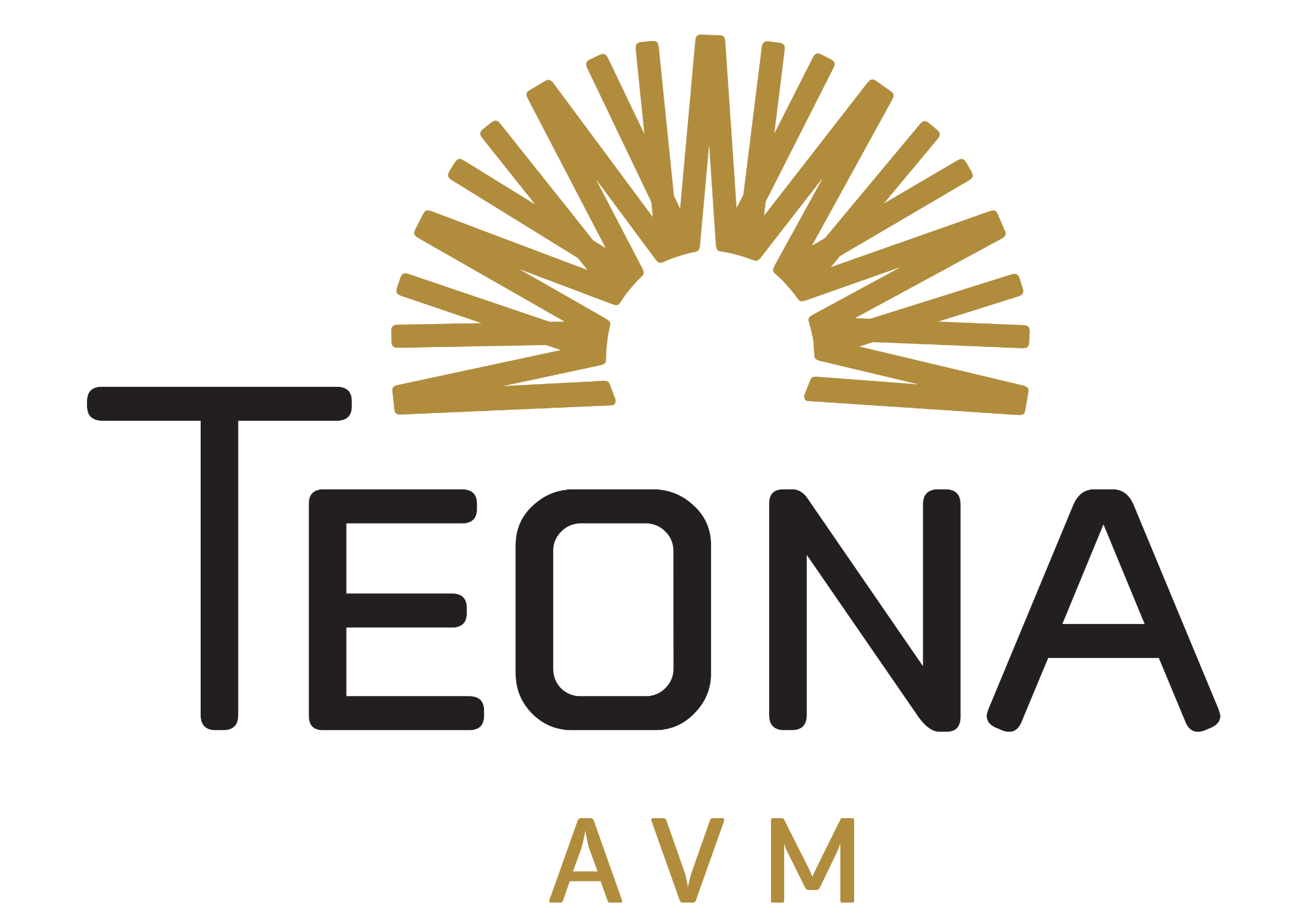 Teona AVM